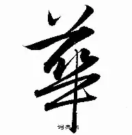 雷速直播-华德福特上演完美战术，领先对手